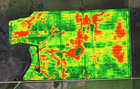 Crop Stress Detection