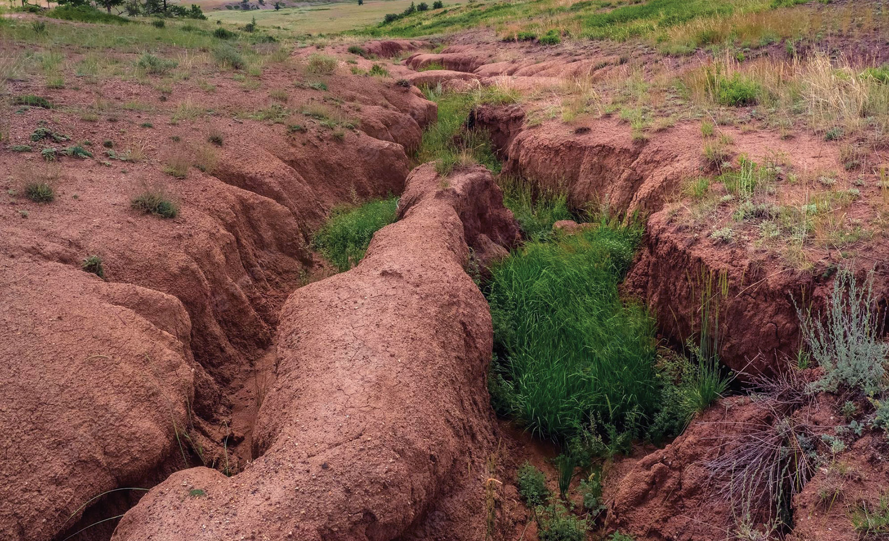 Land Management