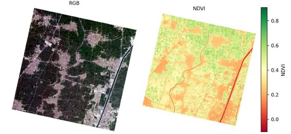 Vegetation Health Analysis